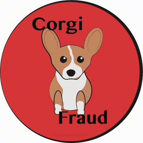 A drawling of a little tan and white short legged puppy sitting down inside of a red circle that says Corgi Fraud. The dog has large perk ears, a black nose and dark eyes.