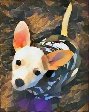 A picture turned into a cartoon looking white dog wearing a camouflage shirt with one tan ear. Its perk ears are very large. The tail is white, the eyes are wide and black and the nose is black.