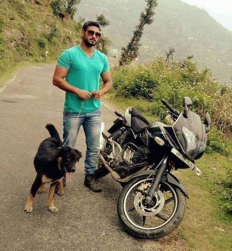 A man in a green shirt and sunglasses standing on a small back road on the side of a mountain next to a black motorcycle and a black and tan large breed dog.