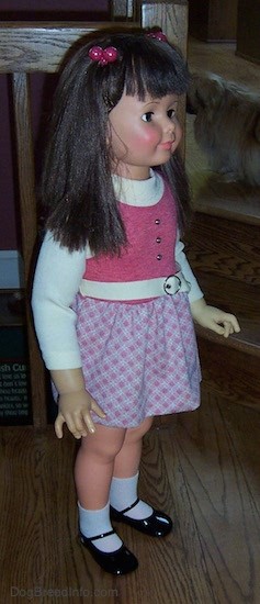 Front side view of a real looking little girl doll with long dark brown hair with bangs with pink ball hair clip bands on each side of her head, dark eyelashes, pink cheeks and pink lips. She is wearing a white and pink dress with a white belt, white socks and shiny black shoes.