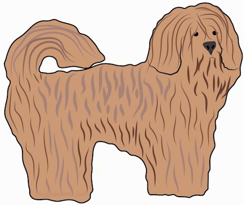 Side view of a drawing of a thick, long coated brown dog with ears that hang down to the sides, a black nose and a tail that curles up over its back.