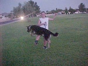 Buck the Shepherd/Husky/Rottie mix is jumping over its owners leg