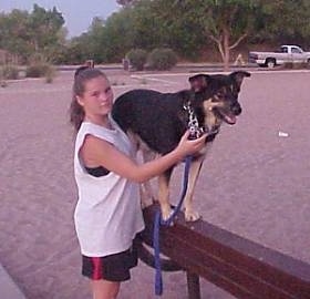 Buck the Shepherd/Husky/Rottie mix standing up on a beam next to his owner at a playground.