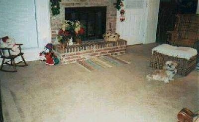 Rambo the Shih Tzu is sitting next to an ottoman and looking to the left in a living room that has a tan carpet and a brick fireplace.