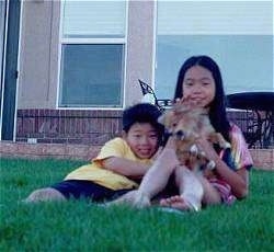 A sister and a brother are laying in a yard in front of a house. The sister has a Pomeranian Puppy in her lap.