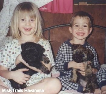 A smiling boy and a girl are sitting on a bed next to each other. They each have Havanese puppies in there laps