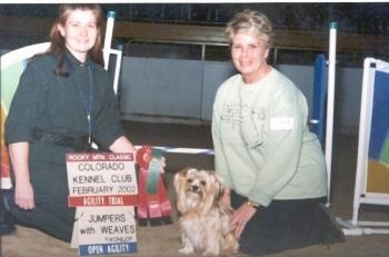 Lindsey the Yorkshire Terrier is sitting in front of its owner. They are sitting next to a lady who is holding a red and green ribbon.