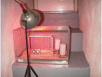 A cage on a stone step with a heat lamp aimed at it.