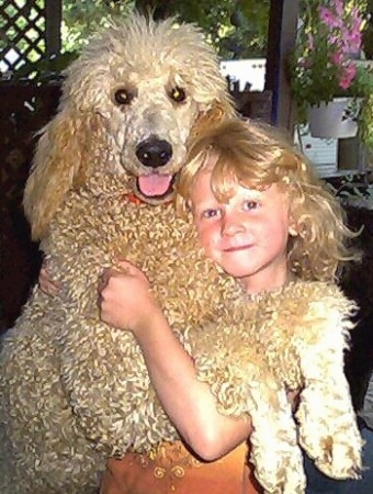 A curly coated, tan Standard Poodle is standing on its hind legs and its front legs are over top of the arms of a blonde haired girl standing next to it. The Poodles mouth is open and tongue is out. They are on a porch and there is a hanging plant with pink flowers behind them.