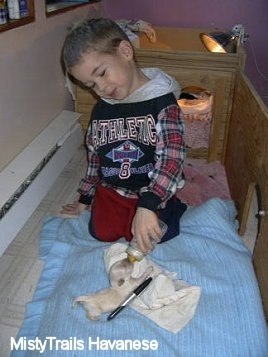 A cream Havanese Puppy is laying on a hand cloth and a towel with a black marker next to it. It is being feed out of a bottle by a small smiling boy.