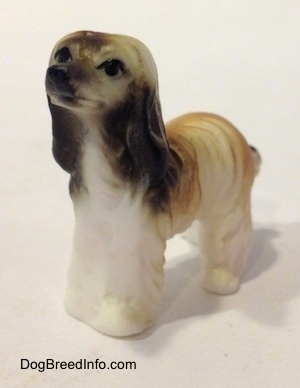 The front left side of a white with tan and black Tiny vintage bone china Afghan Hound dog figurine that has a painted black nose and eyes with a long coat and long ears that hang down with a lot of hair on them.