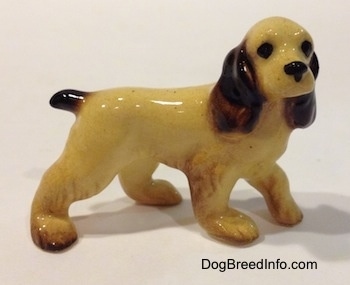 The right side of a tan with black and brown Cocker Spaniel ceramic figurine. It has black circles for eyes.
