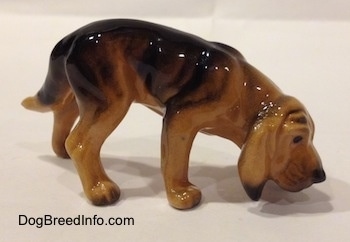 The right side of a brown and black Hagen Renaker Miniature Bloodhound figurine. The figurine is glossy. The dog has smelling the ground. It has a long tail and long drop ears that hang down to the sides of the dogs face. The dogs nose is painted black and it has black eyes. It has wrinkles on its forehead.