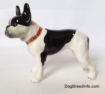 The left side of a black and white vintage 1970s TMK 5 Boston Terrier figurine. The figurine is glossy.