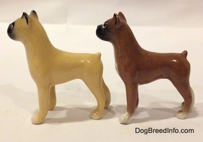 The left side of two color variations of a miniature Boxer dog standing figurine. The back most figurine has white paws and the other figurine has tan paws.