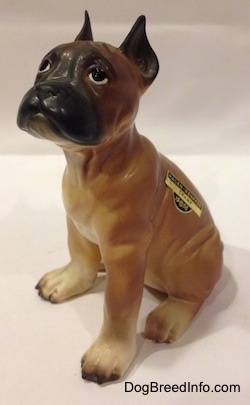 The front left side of a brown with black and white Boxer puppy figurine. There is a sticker on the left side of the figurine.
