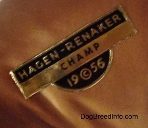Close up - Image showing the original gold and black sticker that reads "Hagen-Renaker Champ 19(C)56". The sticker is on the underside of a brown with black and white Boxer puppy figurine.