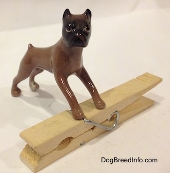 The front right side of a brown with black Boxer dog figurine that is placed on top of a clothespin.