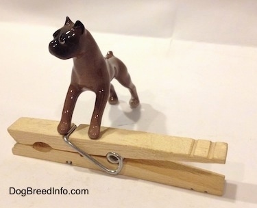 The front left side of a brown with black Boxer dog figurine that is placed on top of a clothespin. The figurine has a black muzzle.