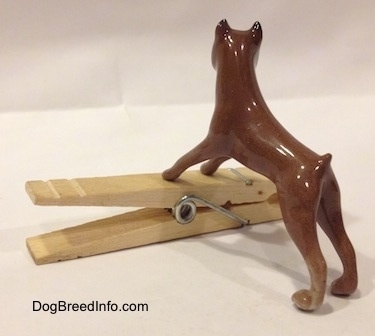 The back left side of a brown with black Boxer dog figurine that is placed on top of a clothespin. The figurine has black ear tips.