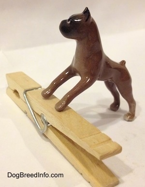 The front left side of a brown with black Boxer dog figurine that is placed on top of a clothespin. The figurine is glossy.