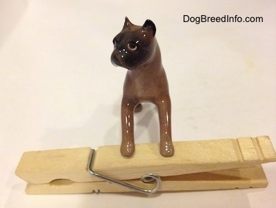 A brown with black Boxer dog figurine that is placed on top of a clothespin.