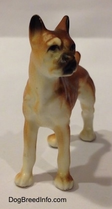 The front right side of a bone china brown with white and black Boxer dog. The figurine has great face details.