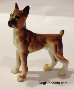 The left side of a bone china brown with white and black Boxer dog figurine. The figurine has great details in its body.