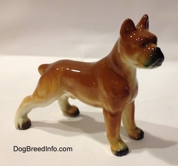 The right side of a brown with black and white ceramic Boxer dog figurine. The figurine is glossy.