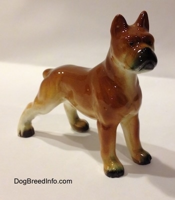 The front right side of a brown with black and white ceramic Boxer dog figurine. The figurines paws are black.