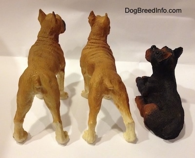 The back of two tan with white and black Boxer standing figurines are next to a black with brown laying Boxer figurine.