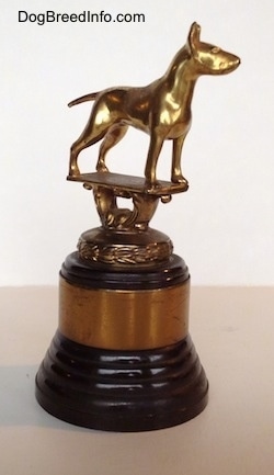 The front right side of a Bull Terrier Club trophy that has a golden Bull Terrier statue at the top.