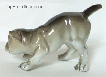 The left side of a gray and white Bulldog figurine in a play bow pose. The tail of the figurine has a medium sized tail.