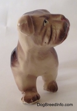 A brown and white ceramic Bulldog figurine. The figurine has fien paw details.