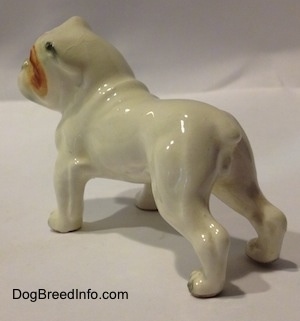 The back left side of a miniature white English Bulldog with a brown spot over the eye. The body of the figurine has great details.