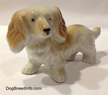 The front left side of a porcelain white with tan long haired Dachshund figurine. The figurine has short legs with big paws.