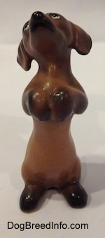 A brown with black Dachshund puppy in a begging pose figurine. The figurine has its head up and its paws are attached to its body.