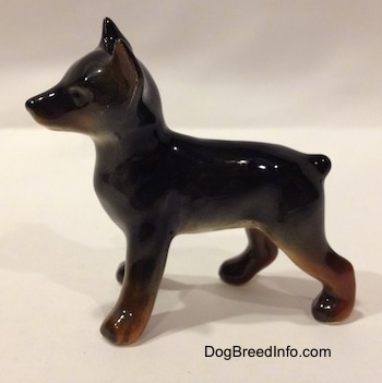 The left side of a figurine that is of a black and brown Doberman Pinscher puppy. The figurine has cropped ears and an unpainted face.