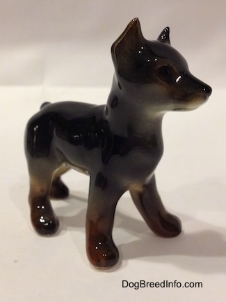 The front right side of a black and brown Doberman Pinscher puppy figurine.
