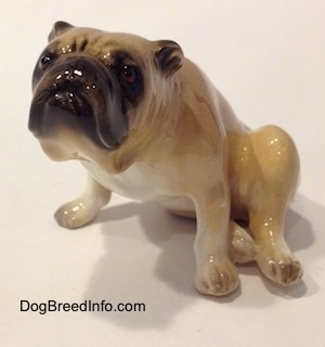 The front left side of a tan and brown Bulldog figurine in a sitting pose. The figurine has great face details.