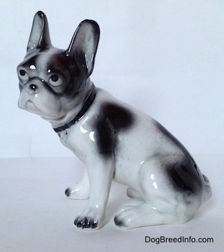 The left side of a white and black French Bulldog figurine in a sitting pose. The figurine has black spots all over its body.
