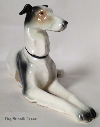 The front right side of a white with black and tan Greyhound in a lying pose figurine. The figurine has tiny black circles for eyes.