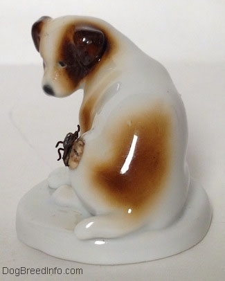 The back side of a brown and white Jack Russell Terrier figurine on a round base and there is a large fly on its side. The figurine has a short tail.
