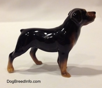 The right side of a brown with black miniature figurine of a Rottweiler. The figurines ears are hard to differentiate from its head.