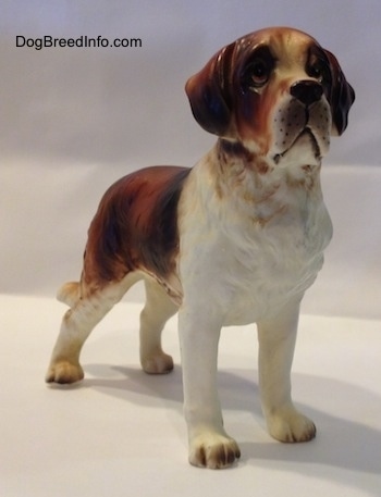 The front right side of a porcelain figurine of a brown and white Aint bernard figurine. The figurine has great details in its face.