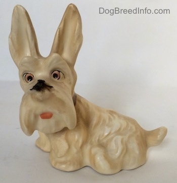 The left side of a white and cream Scottish Terrier sitting with a fly on its nose figurine. The Scottish Terrier has its long ears in the air.