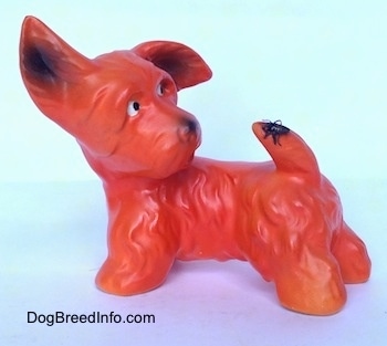 The left side of an orange with black Scottish Terrier with a fly on its tail figurine. The figurine has a black nose.