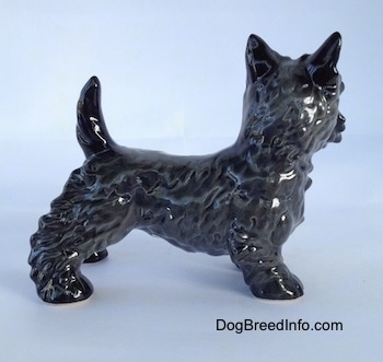 The right side of a figurine of a black Scottish Terrier. The figurine has short legs.