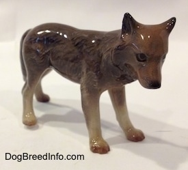 The front right side of a brown with tan figurine of a Wolf. The Wolf is glossy.