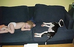 The right side of a black with white American Pit Bull Terrier puppy that is sleeping on a couch with a child sleeping on the other side